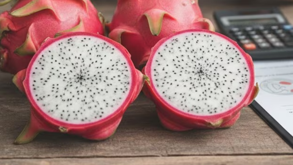 ড্রাগন ফল খাওয়ার আগে যাদের সতর্ক হওয়া উচিত